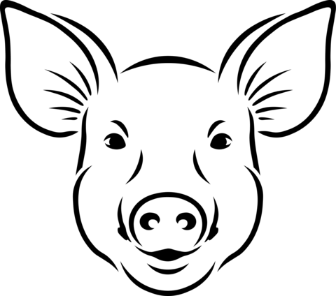 Pig Face Coloring Page